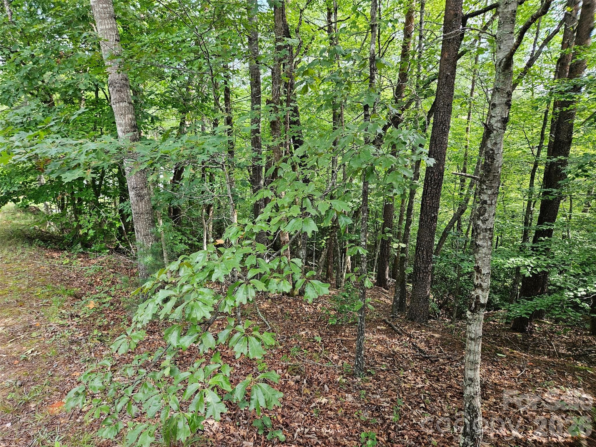 Lot at 0 Hawks Terrace, Lake Lure, photo 2 of 14