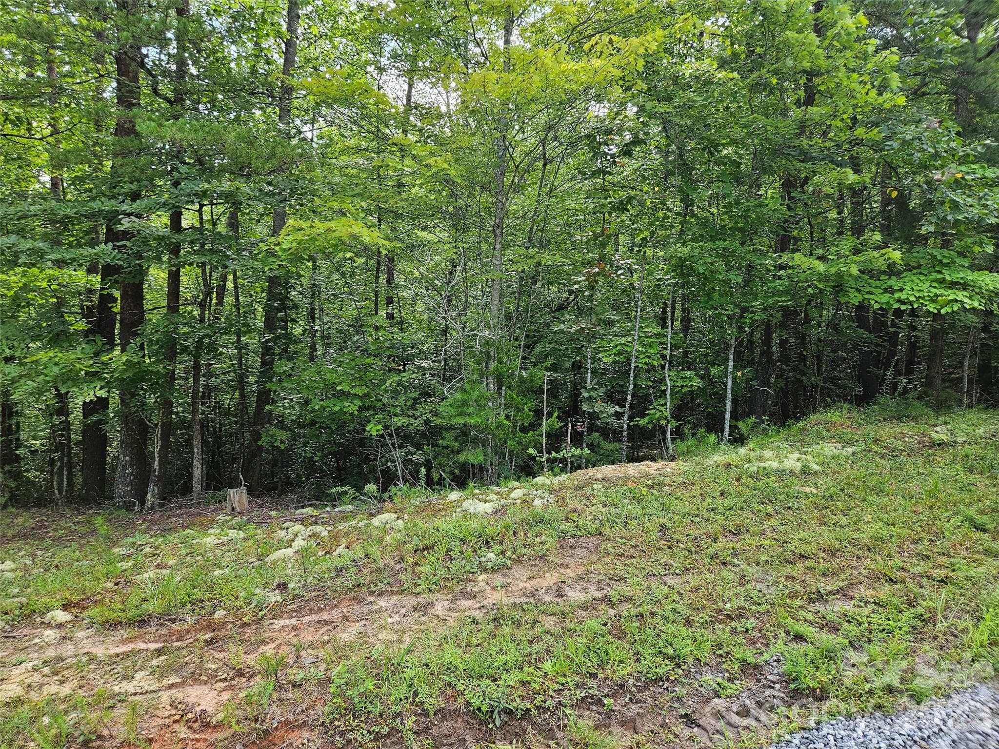 Lot at 0 Hawks Terrace, Lake Lure, photo 5 of 14