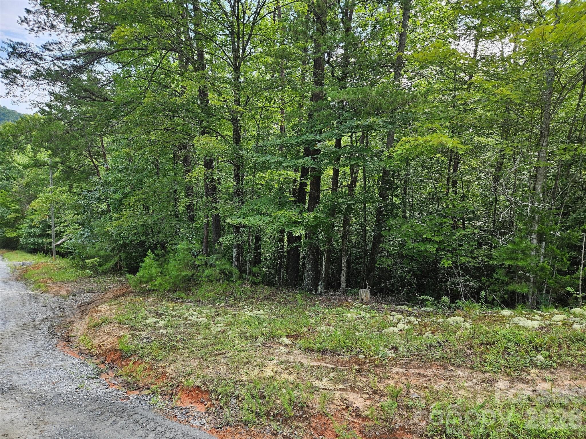 Lot at 0 Hawks Terrace, Lake Lure, photo 6 of 14