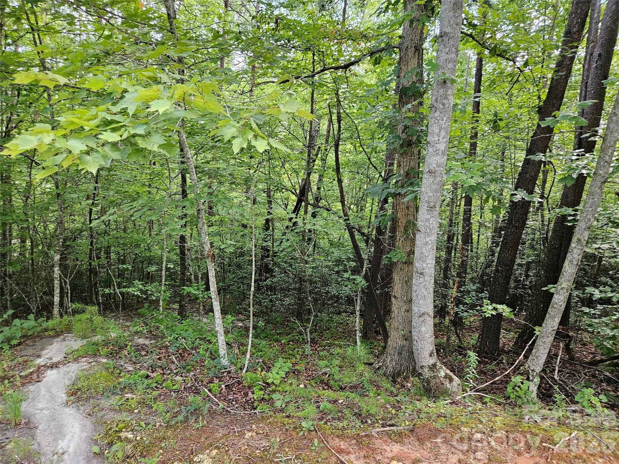 Lot at 0 Hawks Terrace, Lake Lure, photo 8 of 14