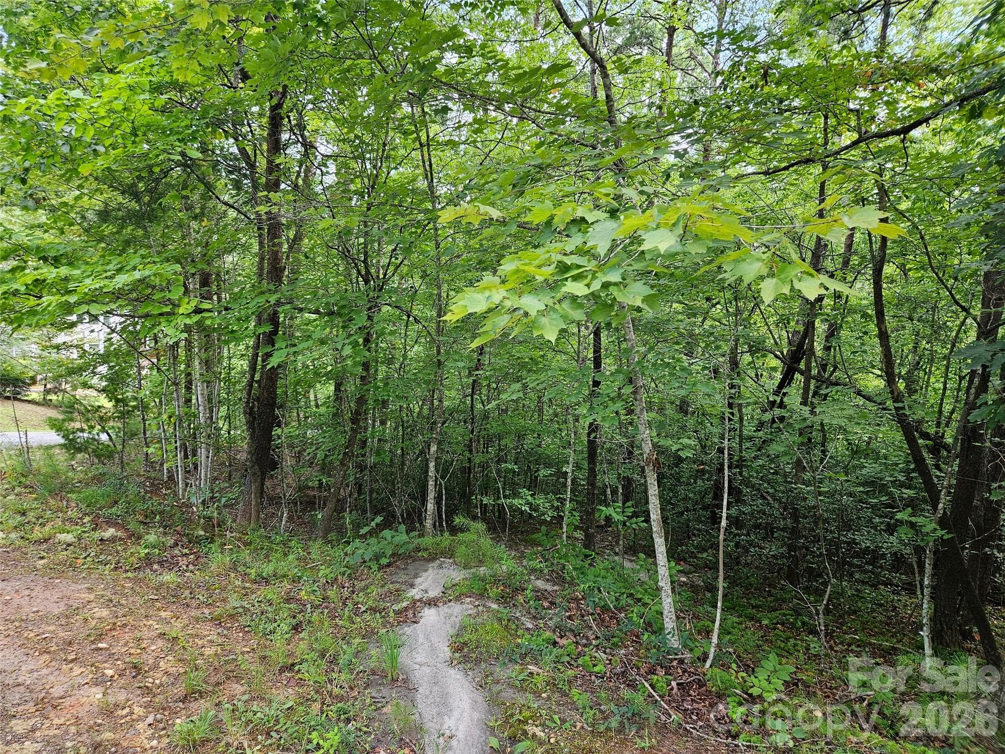 Lot at 0 Hawks Terrace, Lake Lure, photo 9 of 14