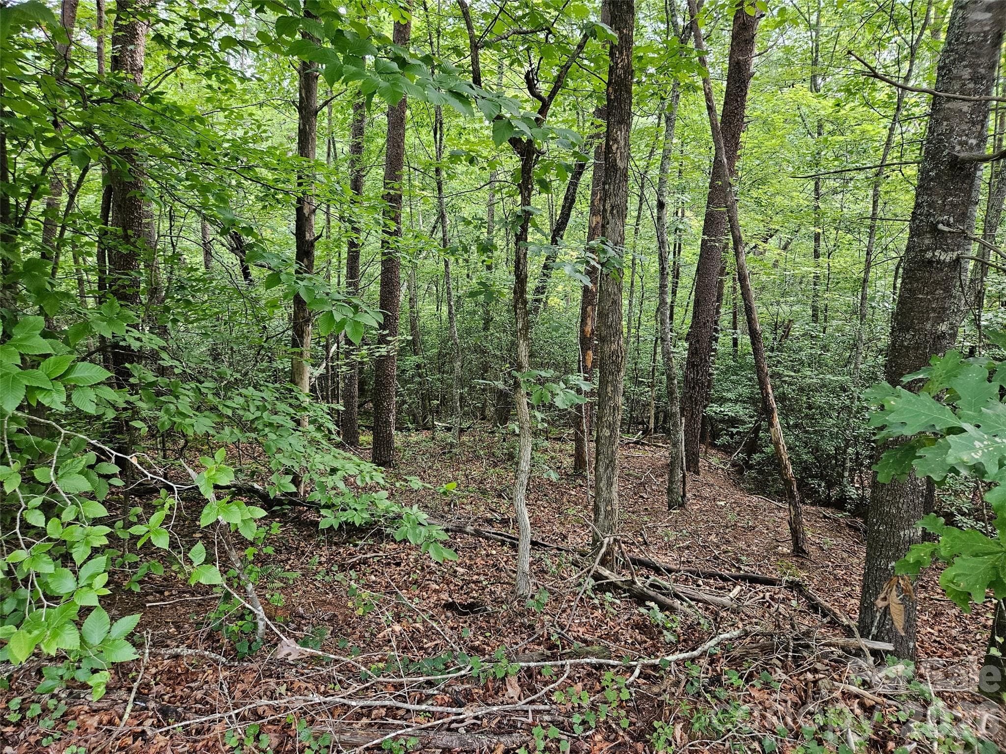 Lot at 0 Hawks Terrace, Lake Lure, photo 11 of 14