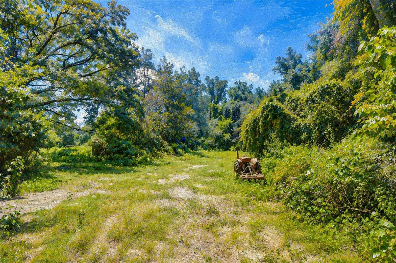 Land at 3801 PATE RD, ZEPHYRHILLS, photo 4 of 63