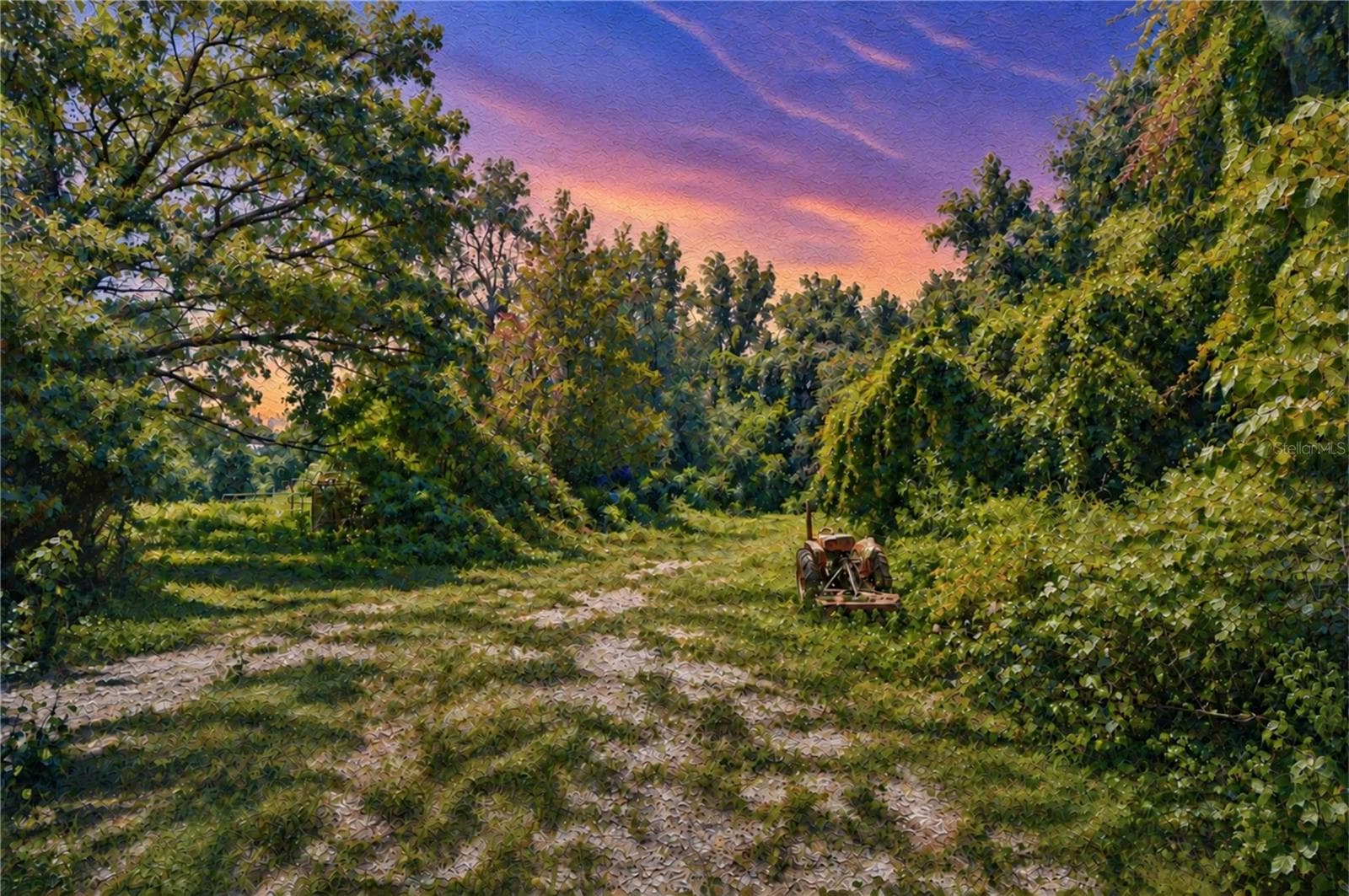 Land at 3801 PATE RD, ZEPHYRHILLS, photo 5 of 63