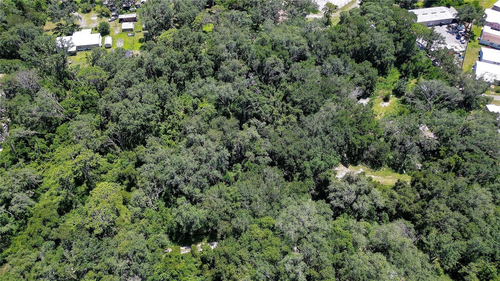 Ariel - 3801 PATE RD, ZEPHYRHILLS
