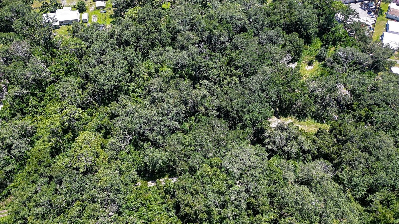 Ariel - 3801 PATE RD, ZEPHYRHILLS