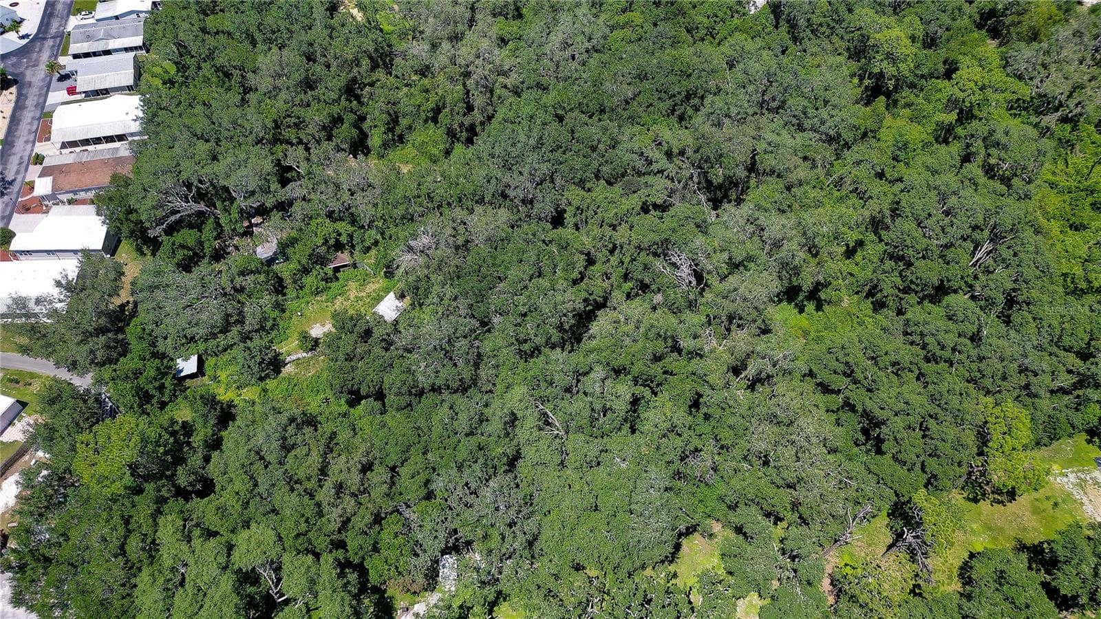 Ariel - 3801 PATE RD, ZEPHYRHILLS