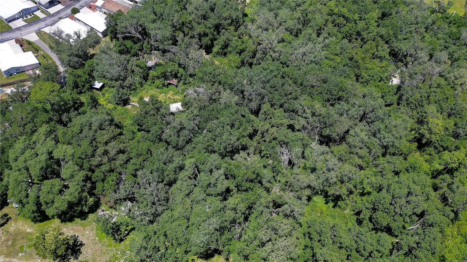 Ariel - 3801 PATE RD, ZEPHYRHILLS