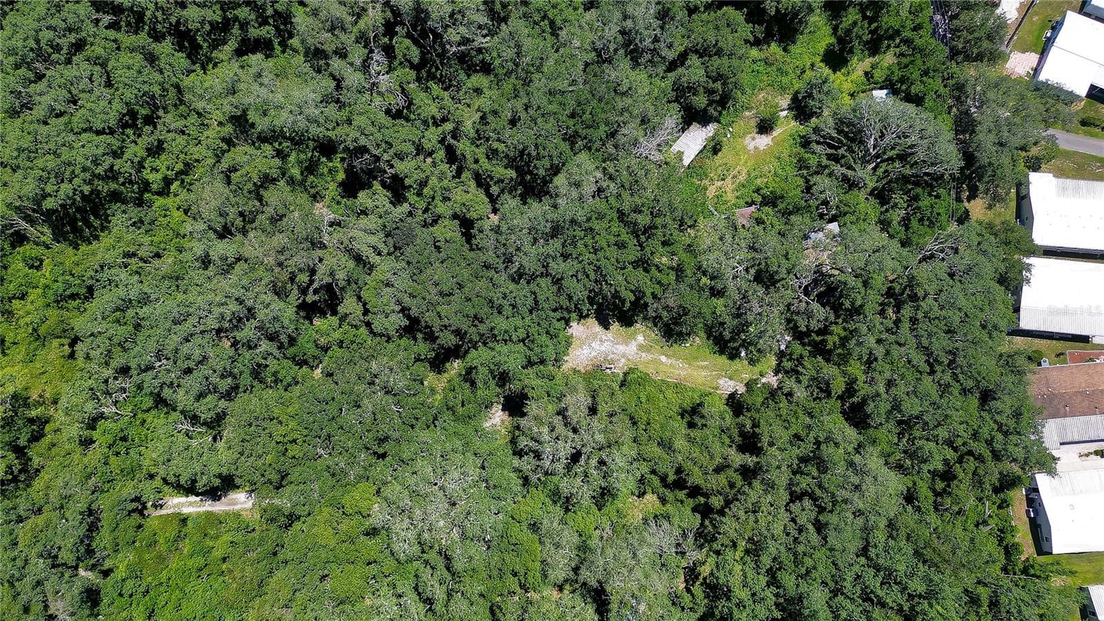 Ariel - 3801 PATE RD, ZEPHYRHILLS