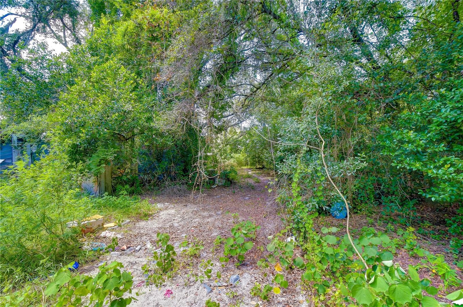Land at 3801 PATE RD, ZEPHYRHILLS, photo 40 of 63
