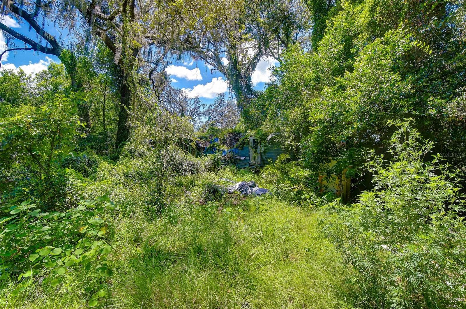 Land at 3801 PATE RD, ZEPHYRHILLS, photo 41 of 63