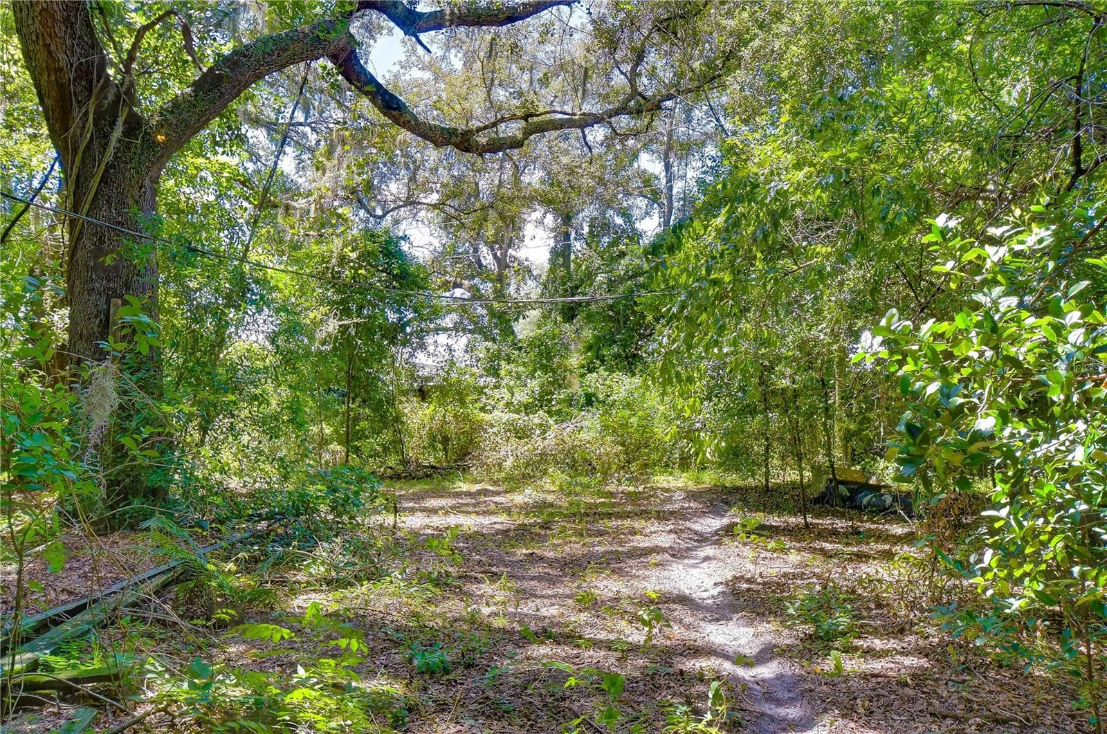 Land at 3801 PATE RD, ZEPHYRHILLS, photo 45 of 63