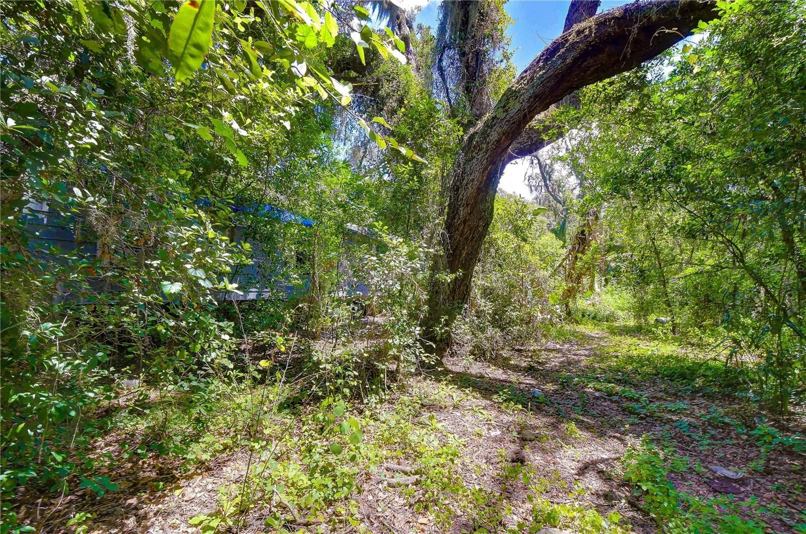 Land at 3801 PATE RD, ZEPHYRHILLS, photo 47 of 63