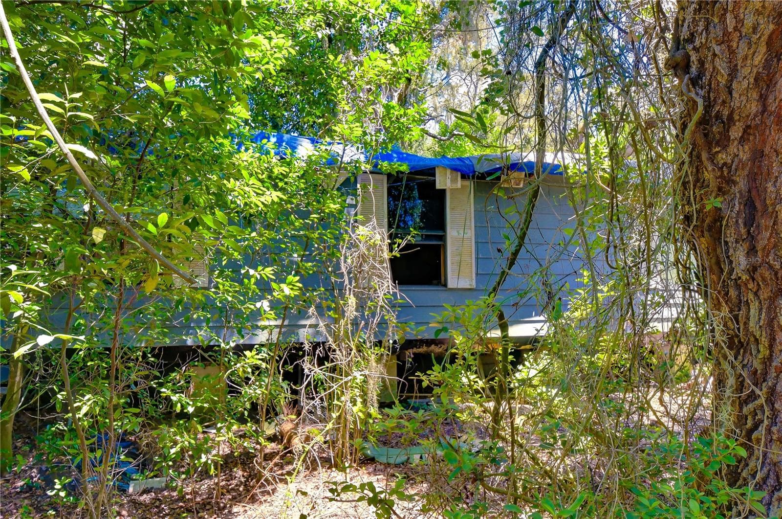 Land at 3801 PATE RD, ZEPHYRHILLS, photo 49 of 63