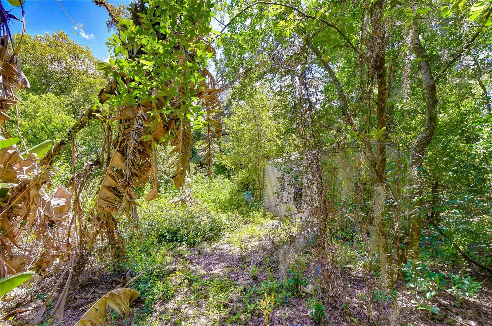 Land at 3801 PATE RD, ZEPHYRHILLS, photo 50 of 63