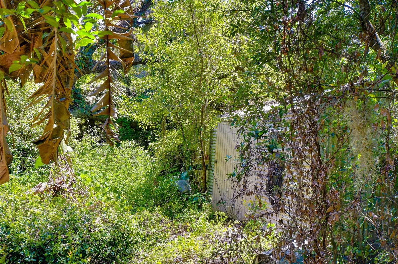 Land at 3801 PATE RD, ZEPHYRHILLS, photo 51 of 63