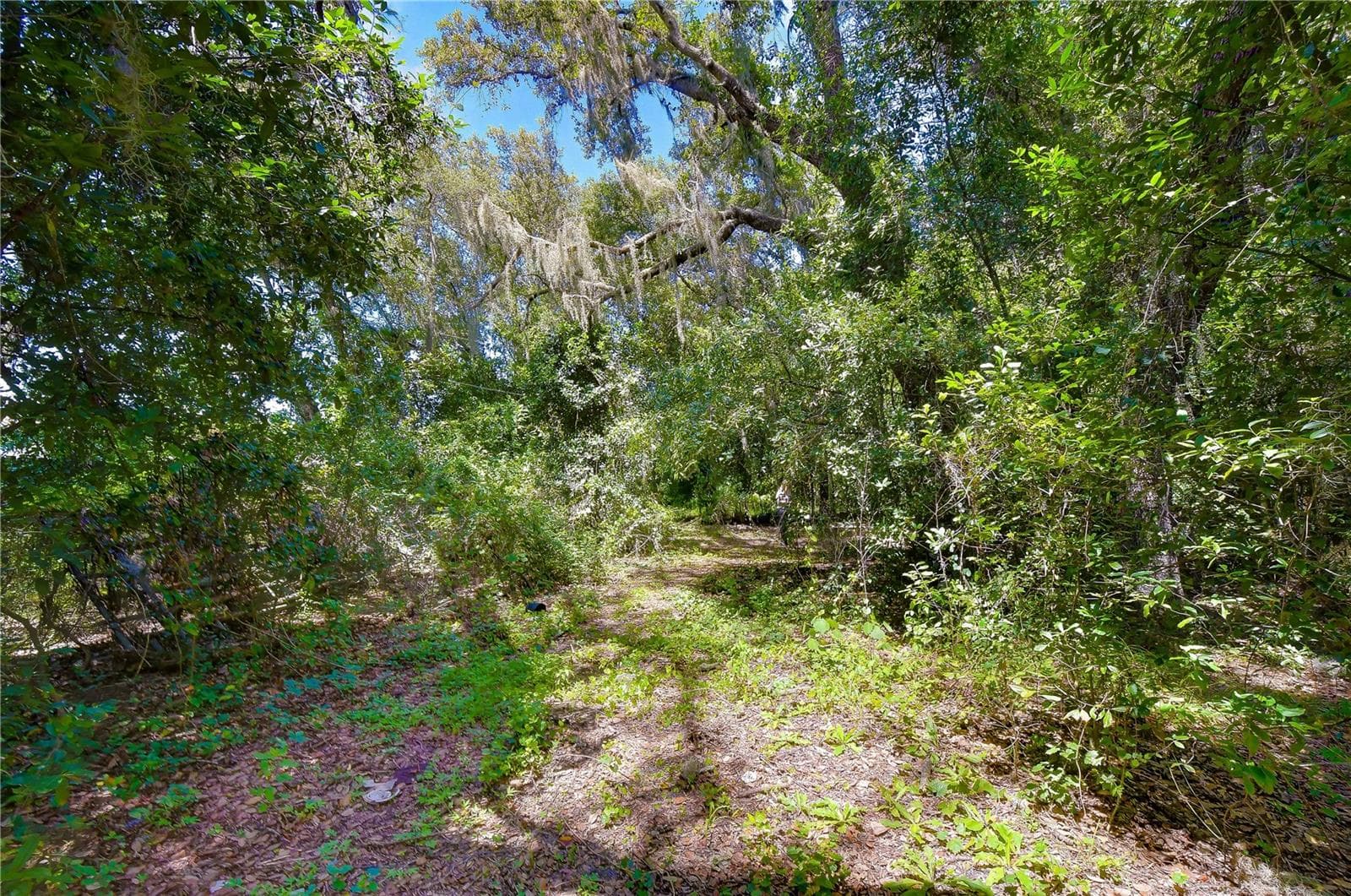 Land at 3801 PATE RD, ZEPHYRHILLS, photo 52 of 63
