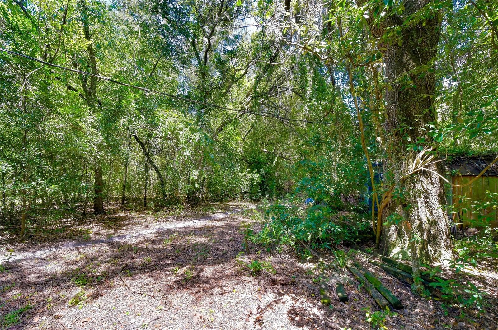 Land at 3801 PATE RD, ZEPHYRHILLS, photo 53 of 63