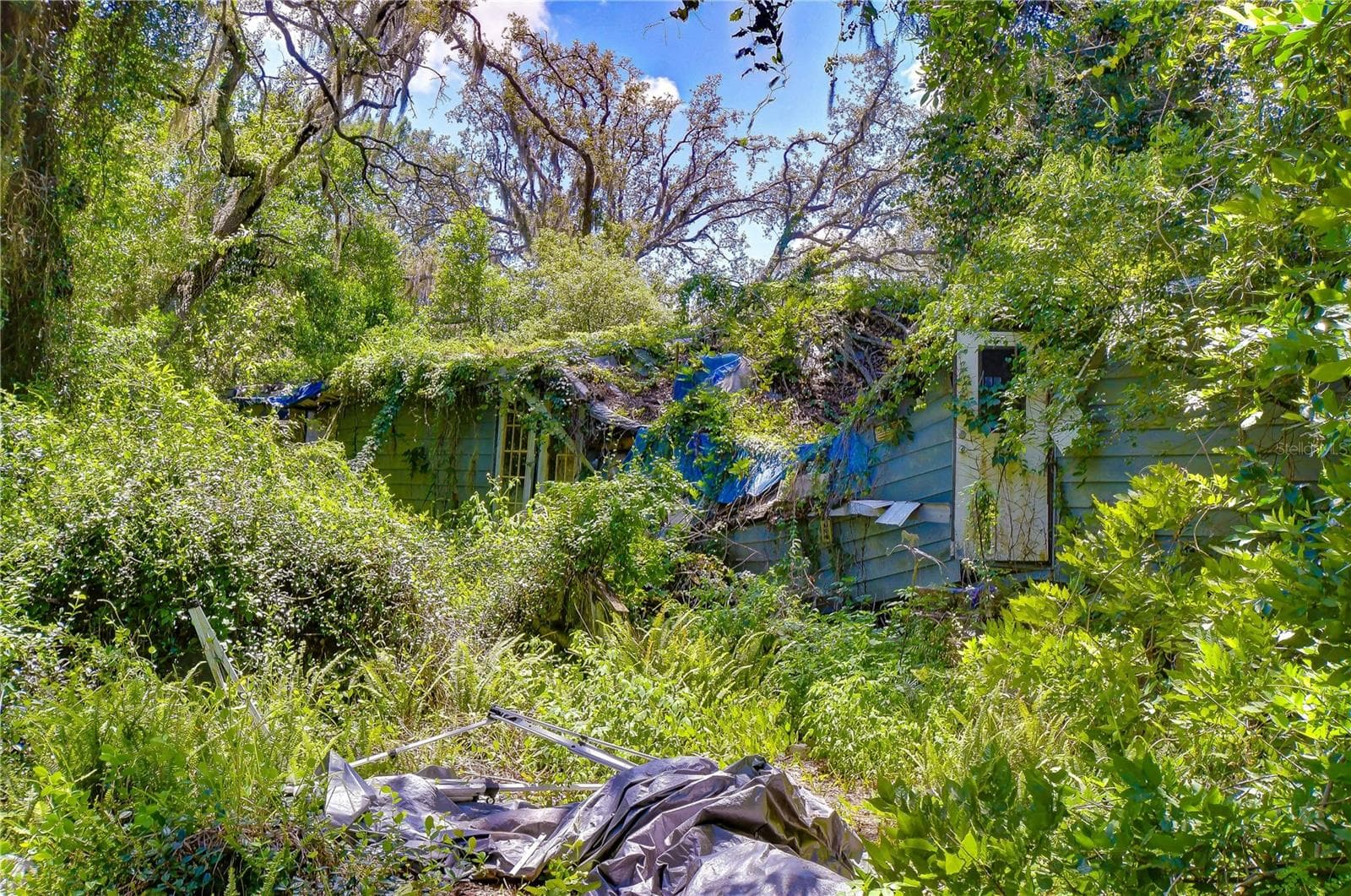 Land at 3801 PATE RD, ZEPHYRHILLS, photo 54 of 63
