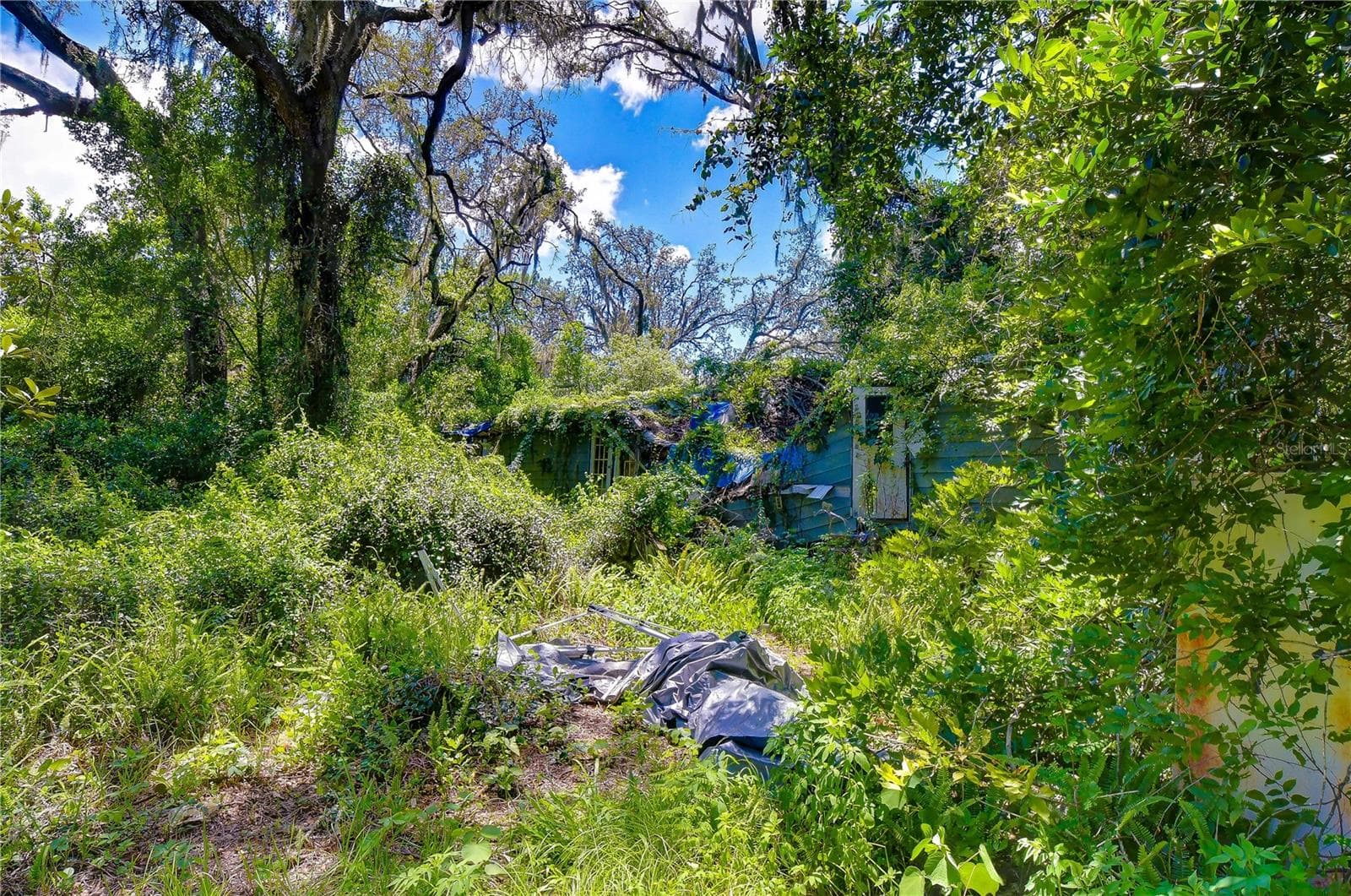 Land at 3801 PATE RD, ZEPHYRHILLS, photo 55 of 63