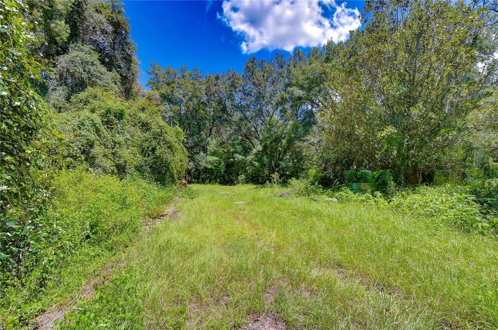 Land at 3801 PATE RD, ZEPHYRHILLS, photo 56 of 63