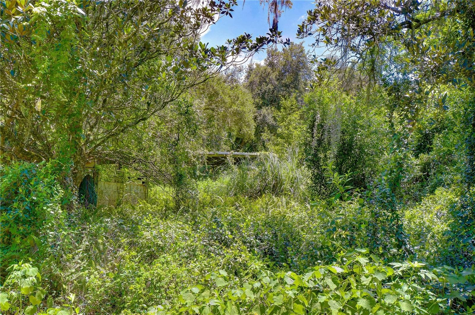 Land at 3801 PATE RD, ZEPHYRHILLS, photo 57 of 63