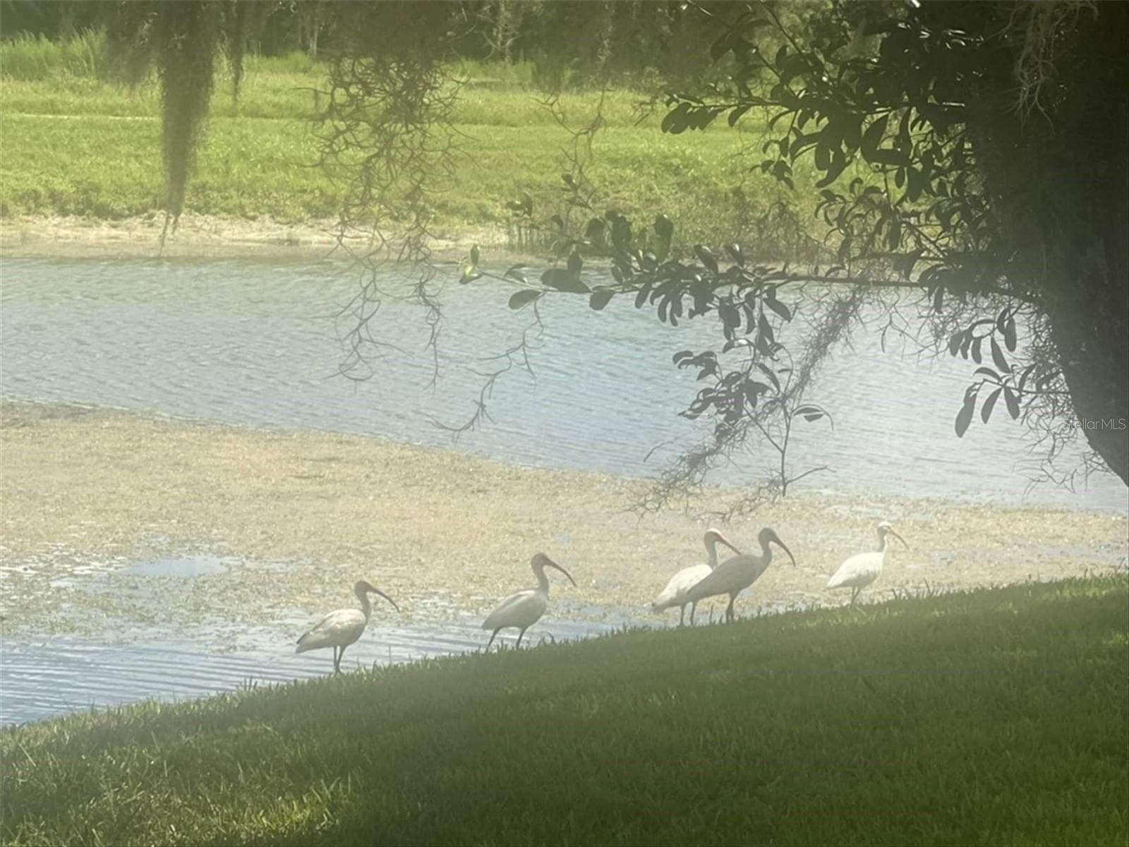Villa at 10706 LAQUINTA DR, NEW PORT RICHEY, photo 44 of 53