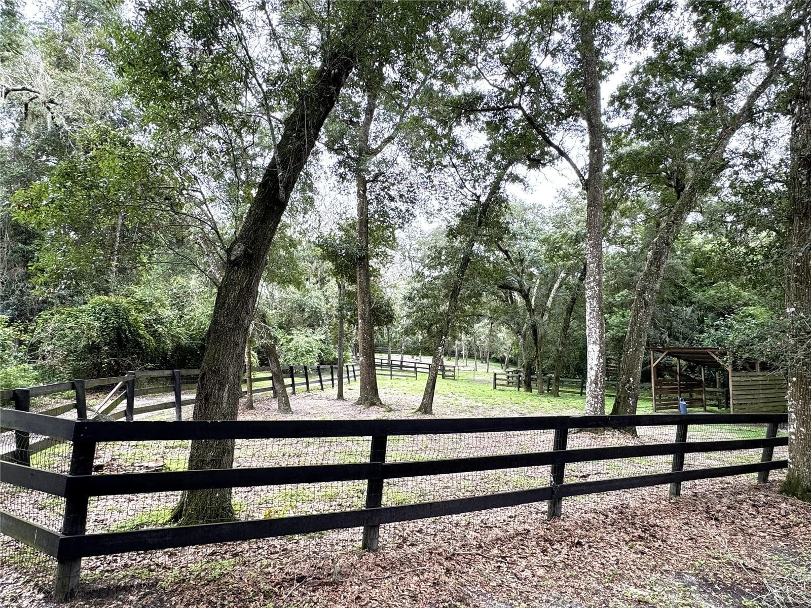 Front Door looking out - 560 N LAKE PLEASANT RD, APOPKA