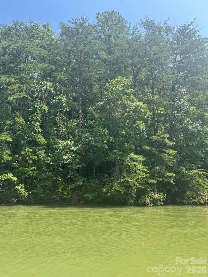 Lot view from lake - Mill Spring