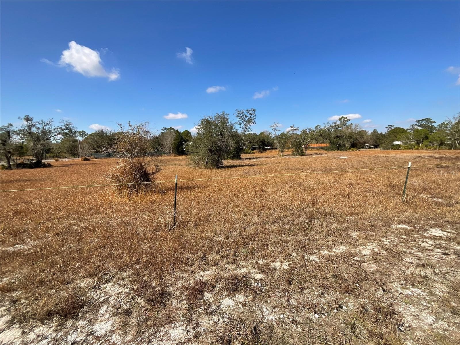 Land at 490 HOBBS DR, VENUS, photo 8 of 16
