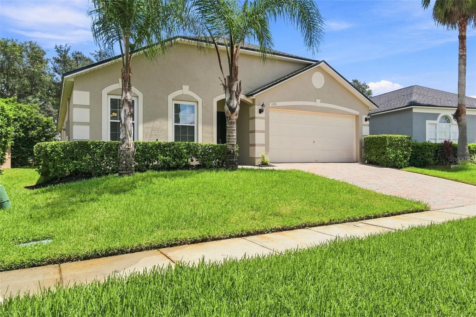 Maintained St Augustine Lawn - 1151 BEECH GROVE WAY, ORLANDO