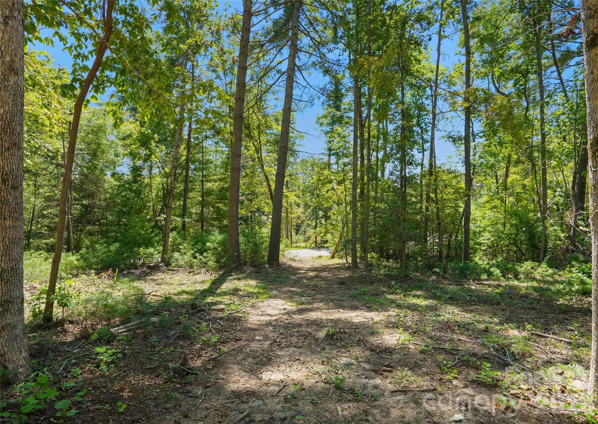 Lot at Asheville, photo 2 of 48