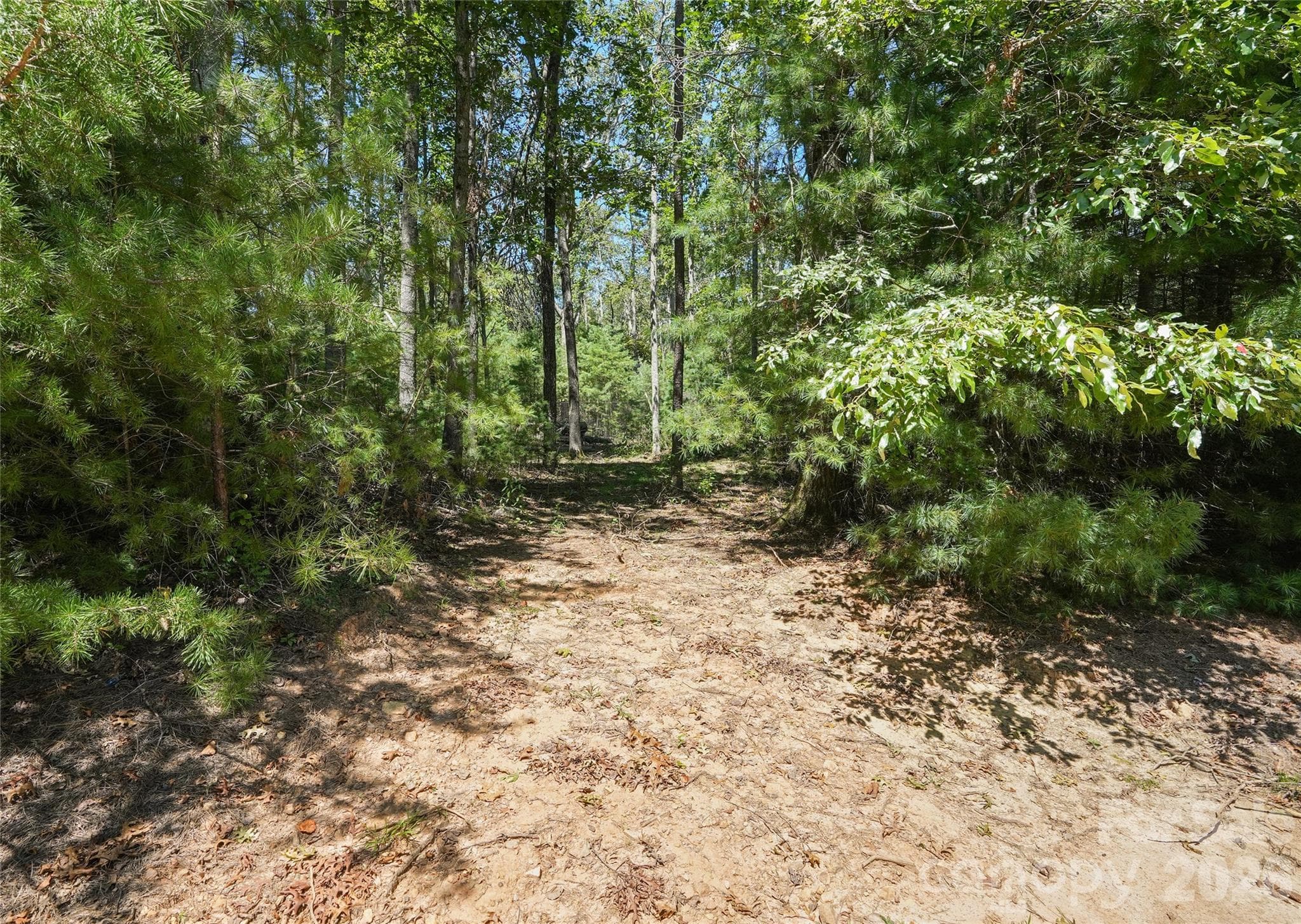 Lot at Asheville, photo 7 of 48