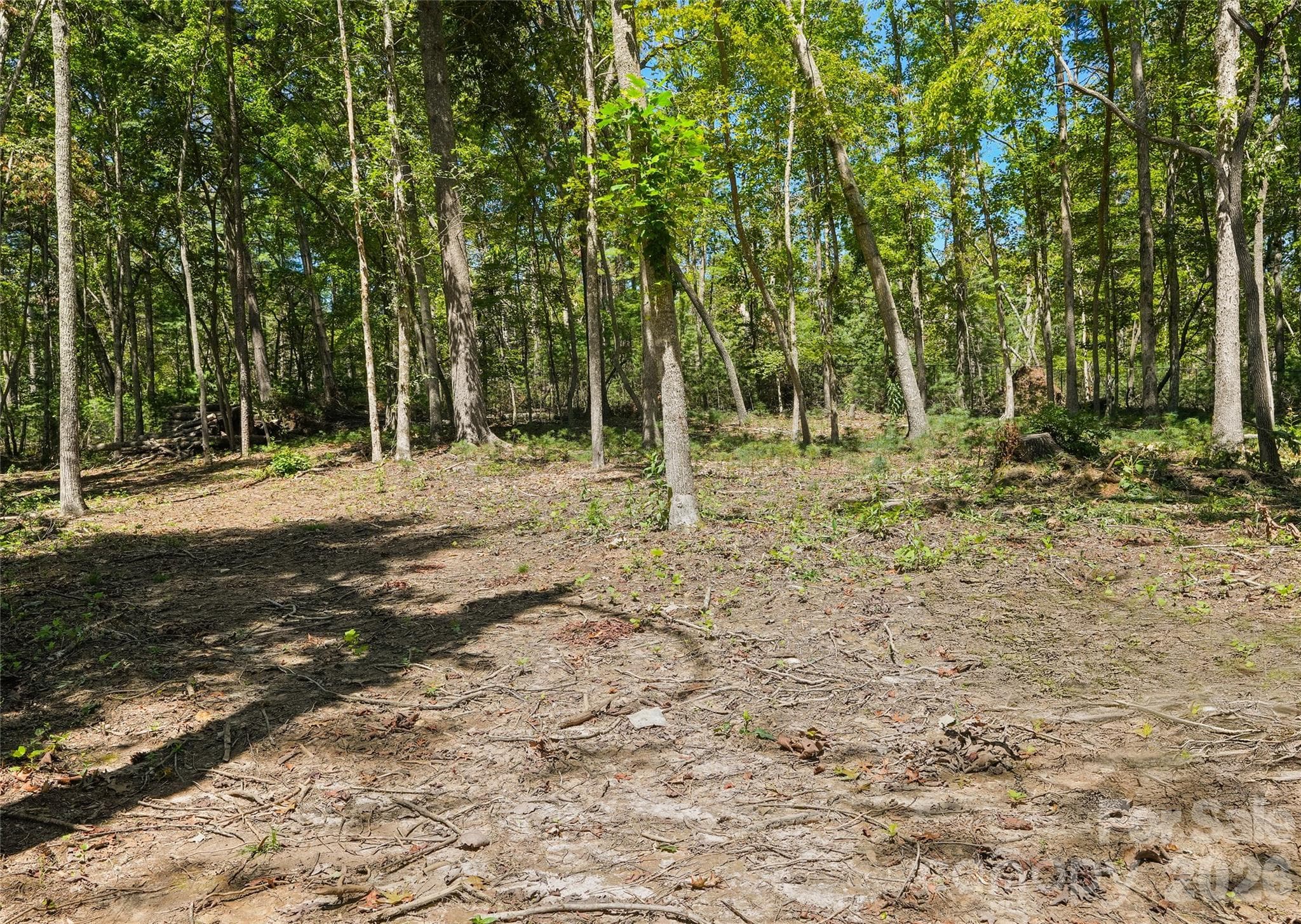 Lot at Asheville, photo 9 of 48