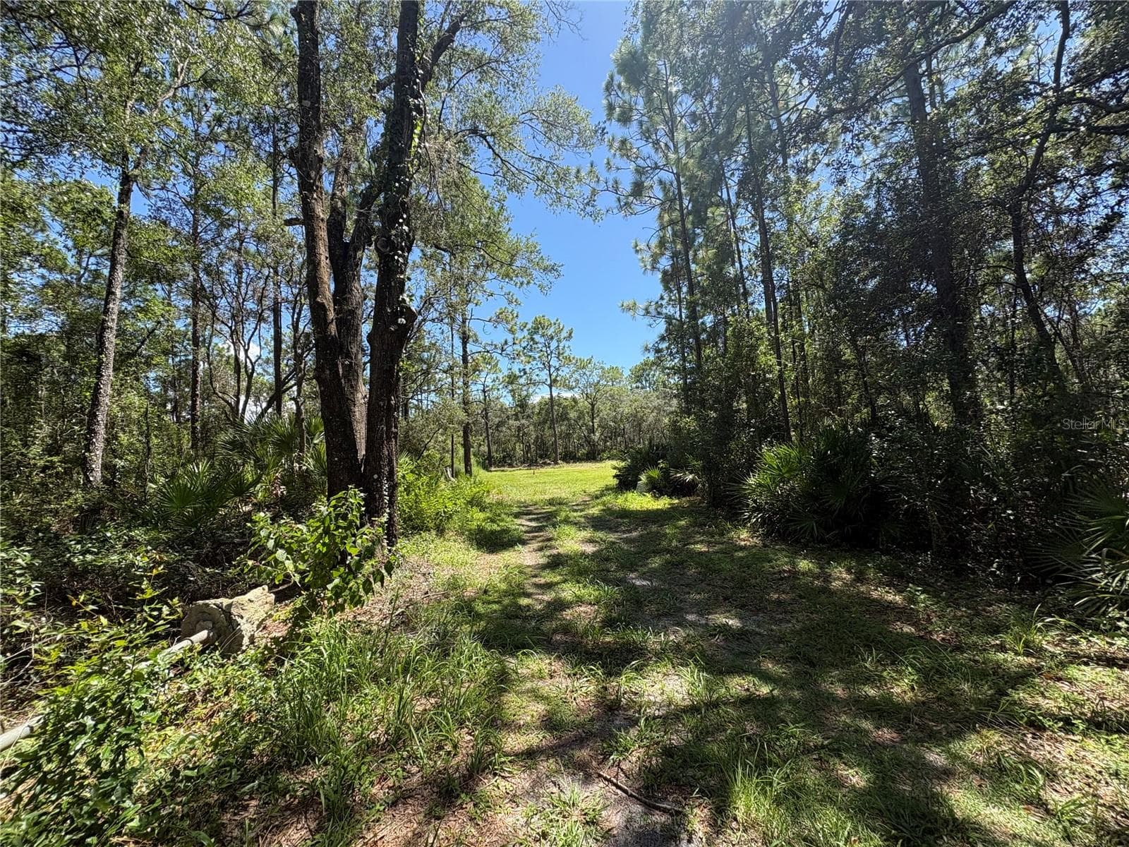 394 N FLORENE PT