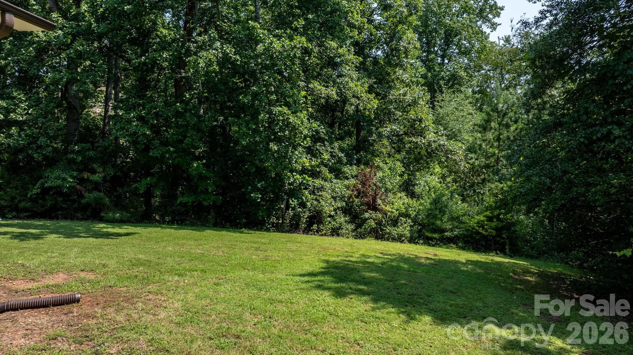 Side Yard - 4370 Dynasty Lane, Hudson