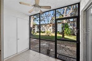 Back lanai - 219 PALMETTO CT #219, OLDSMAR