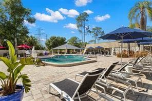 community pool - 219 PALMETTO CT #219, OLDSMAR