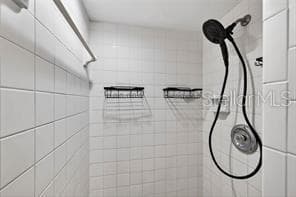 Master Bath - 219 PALMETTO CT #219, OLDSMAR
