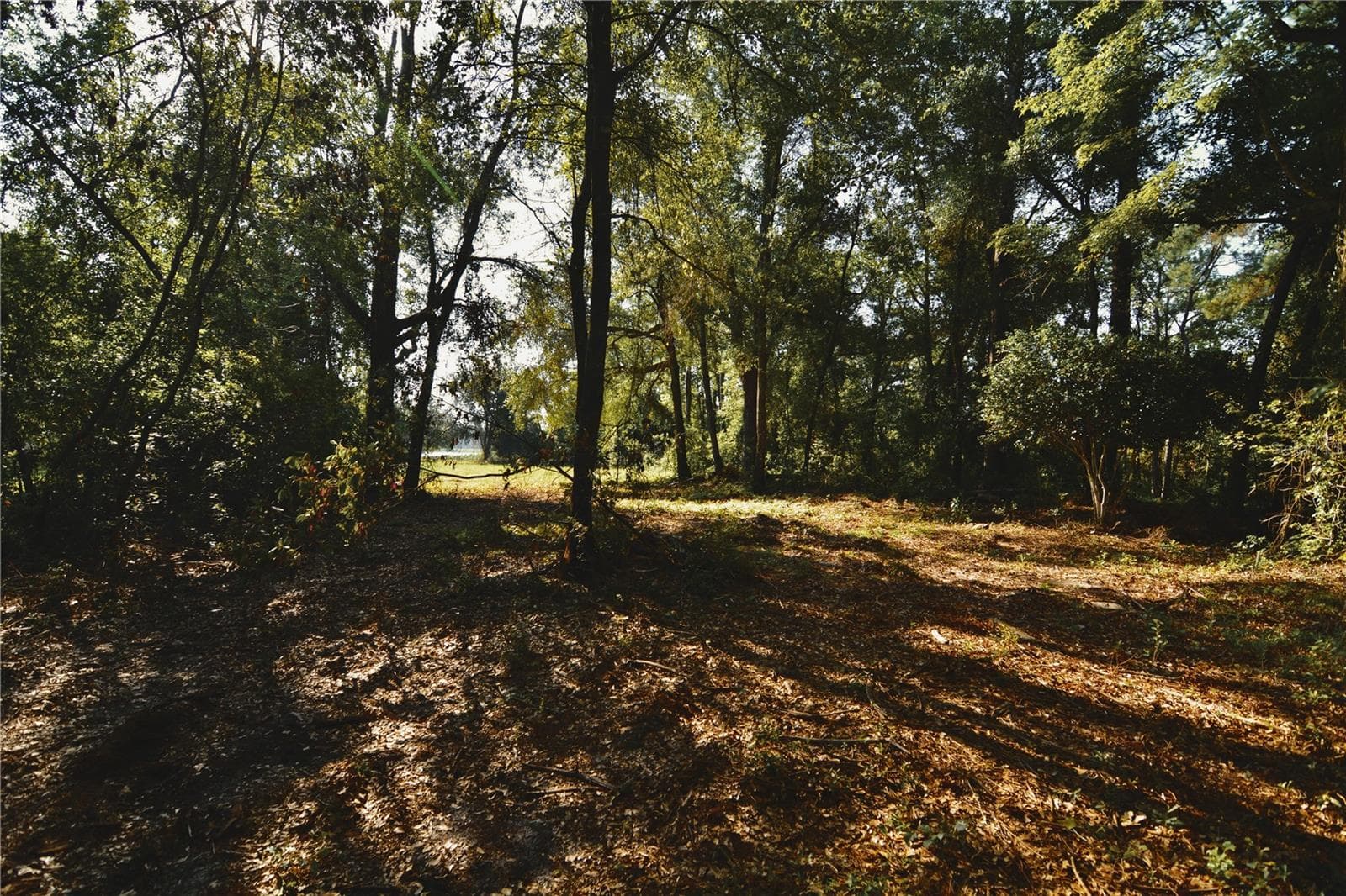 Land at 00 HALL LAKE RD, KEYSTONE HEIGHTS, photo 4 of 39