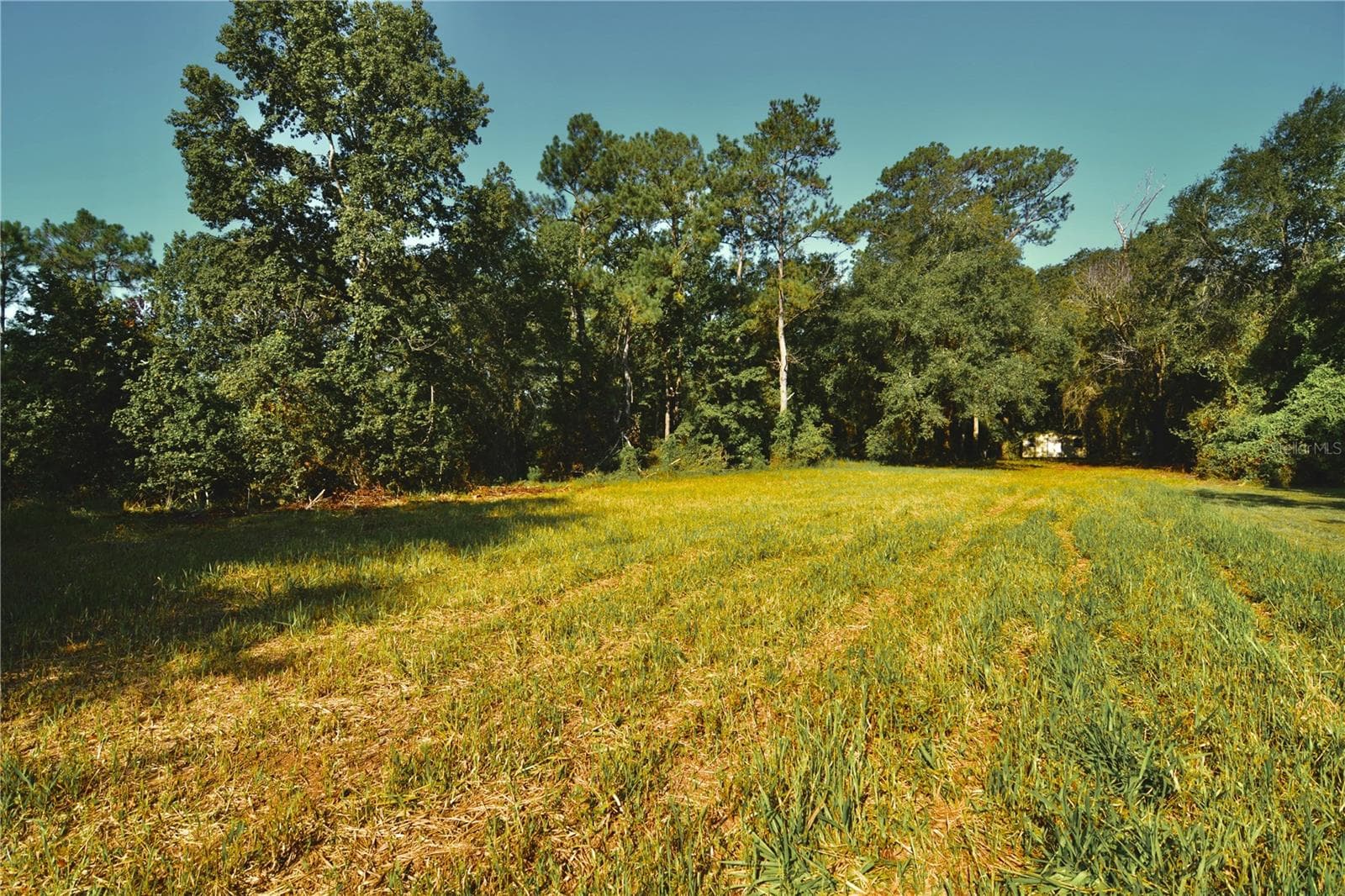 Land at 00 HALL LAKE RD, KEYSTONE HEIGHTS, photo 5 of 39