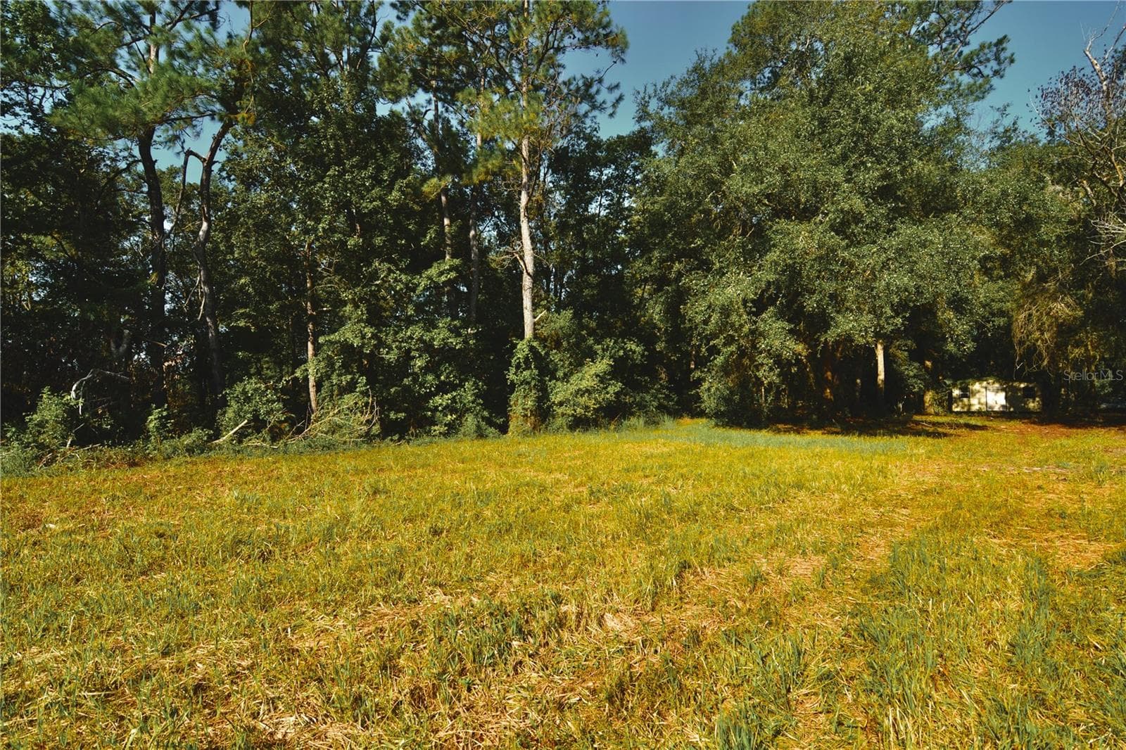 Land at 00 HALL LAKE RD, KEYSTONE HEIGHTS, photo 8 of 39