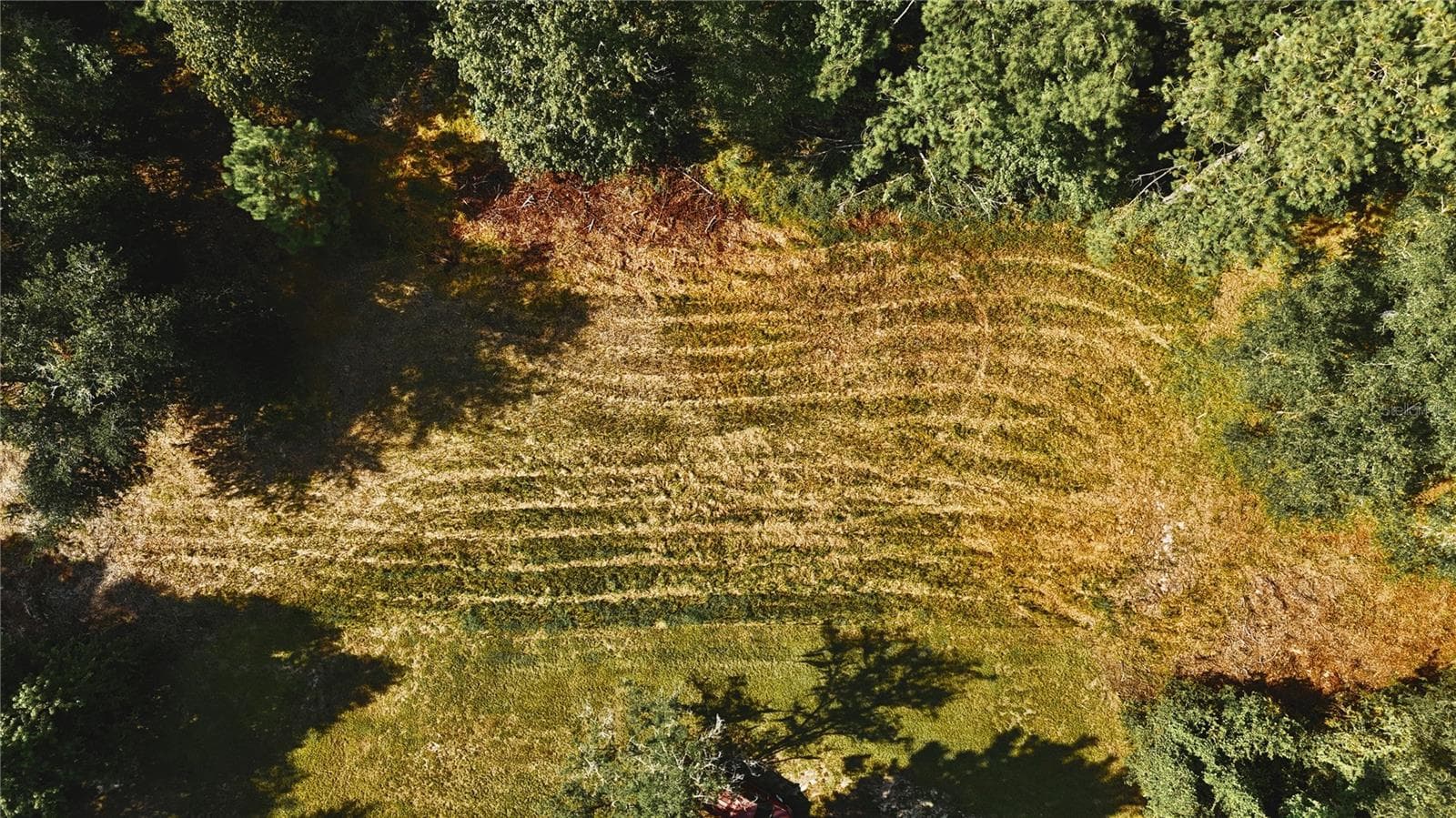 Land at 00 HALL LAKE RD, KEYSTONE HEIGHTS, photo 9 of 39
