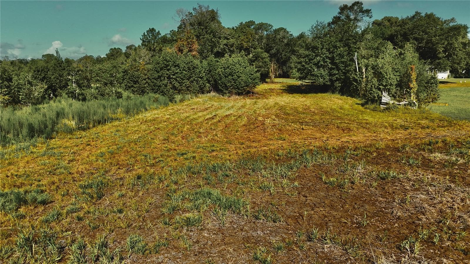 Land at 00 HALL LAKE RD, KEYSTONE HEIGHTS, photo 15 of 39