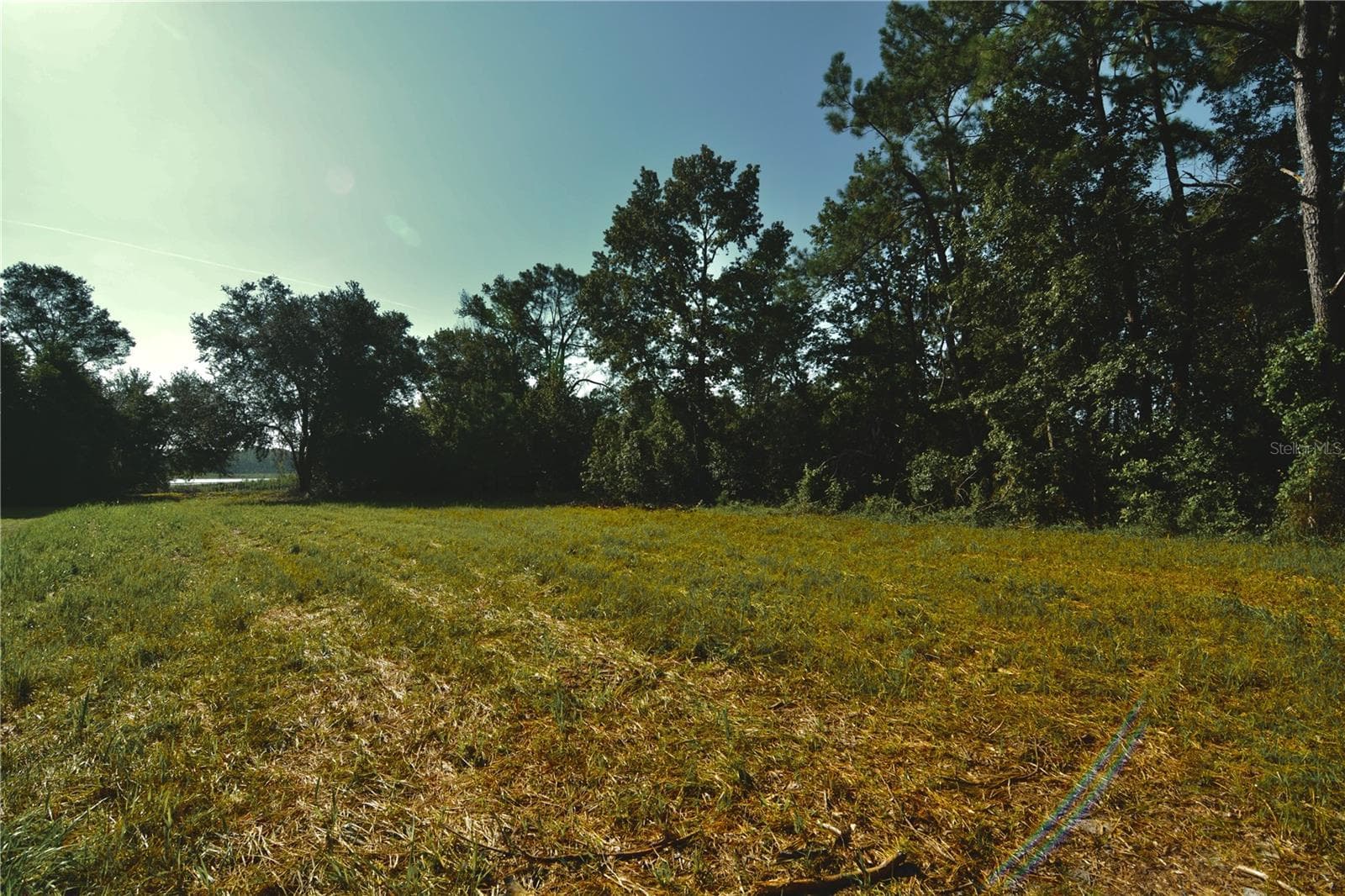 Land at 00 HALL LAKE RD, KEYSTONE HEIGHTS, photo 19 of 39