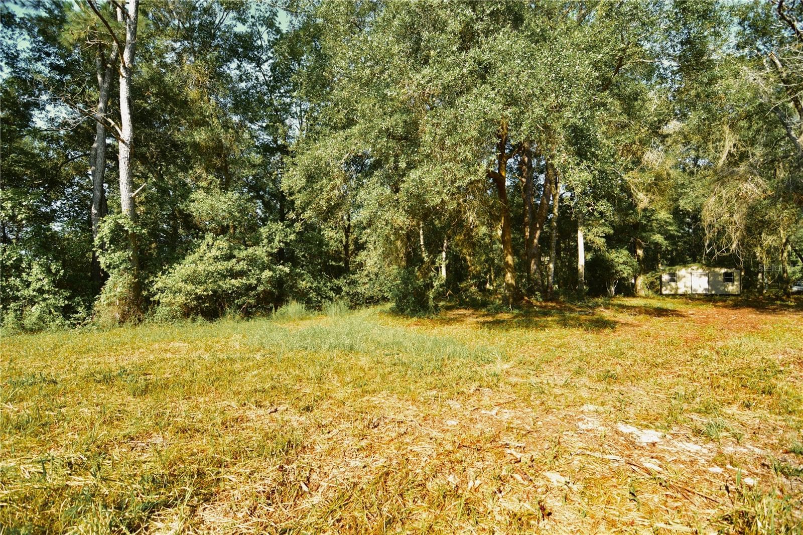 Land at 00 HALL LAKE RD, KEYSTONE HEIGHTS, photo 20 of 39