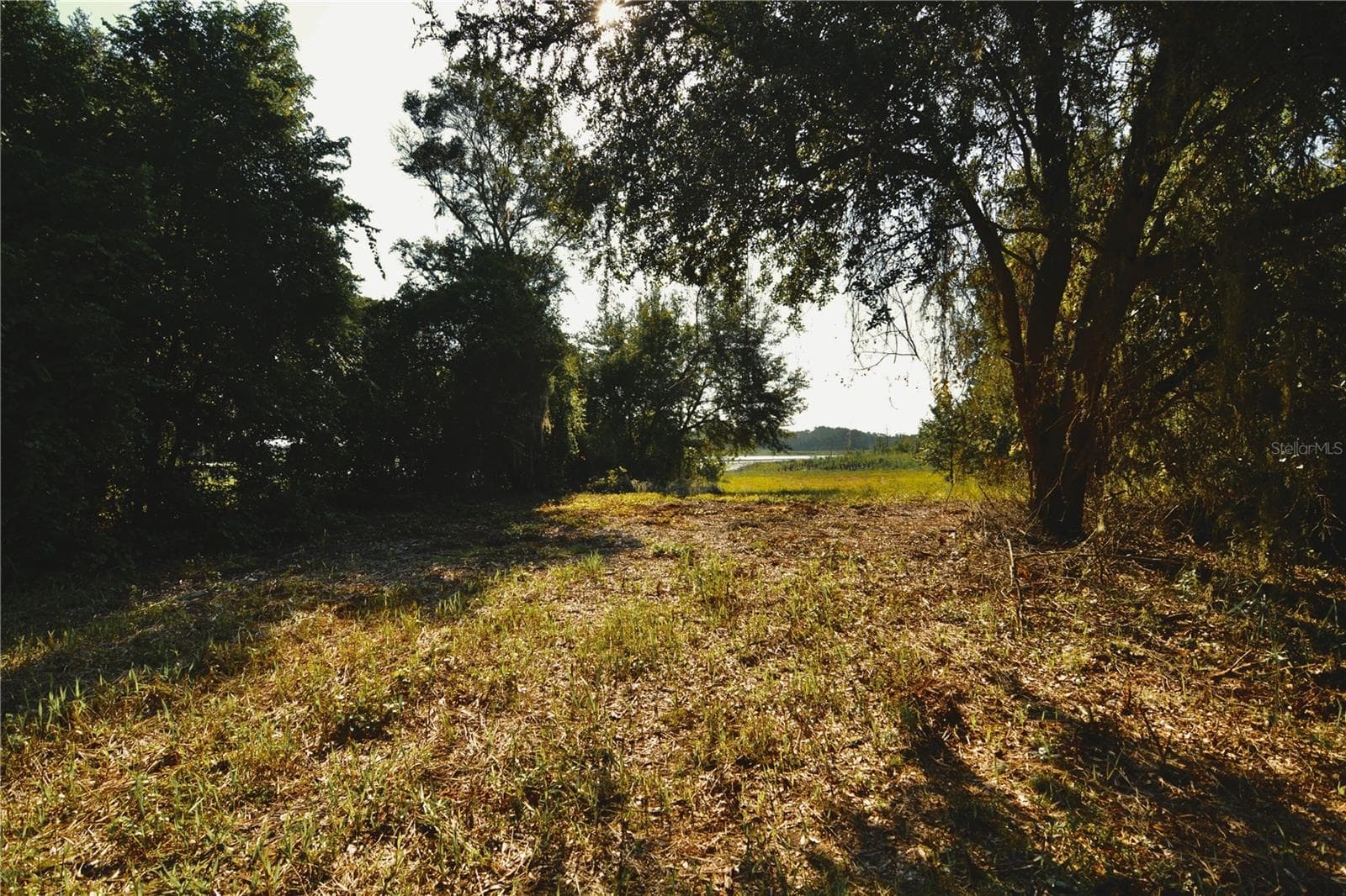 Land at 00 HALL LAKE RD, KEYSTONE HEIGHTS, photo 22 of 39