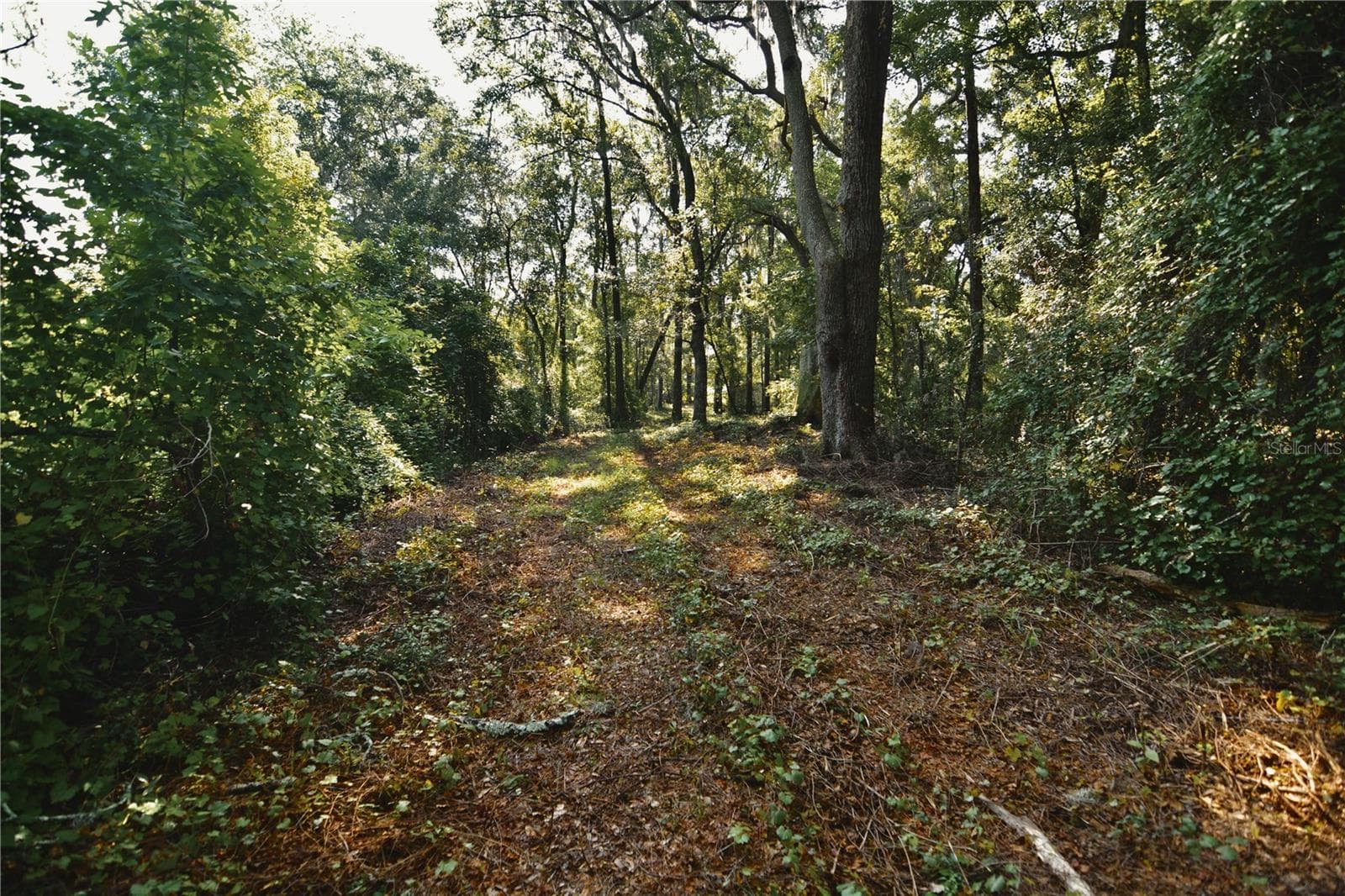 Land at 00 HALL LAKE RD, KEYSTONE HEIGHTS, photo 28 of 39