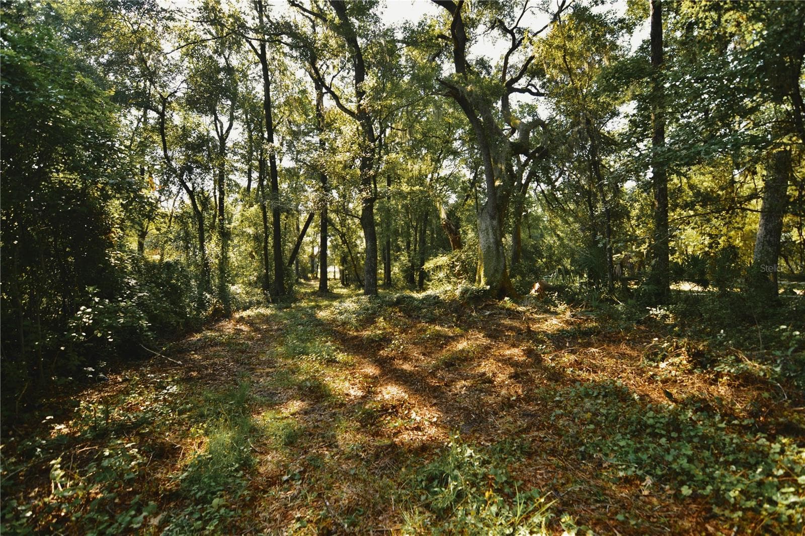 Land at 00 HALL LAKE RD, KEYSTONE HEIGHTS, photo 30 of 39