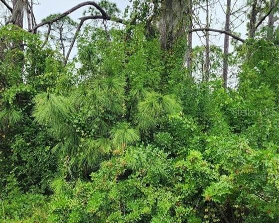 Land at 151 RAVENSWOOD BLVD, PORT CHARLOTTE, photo 2 of 10